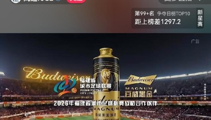 世界杯app下载-近十个省份城市足球联赛同时竞争流量，哪个联赛更具持续性？