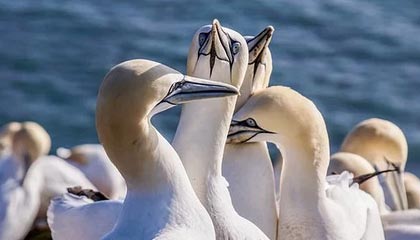 世界杯直播平台-仅用时71分钟！辛纳2-0蒂亚福晋级迈阿密站四强